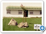 Winton, CA - 2002