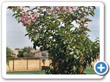 Merced, CA - 2005