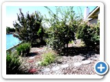 Before - Atwater, CA - 2009