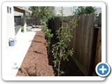 Merced, CA - 2010
