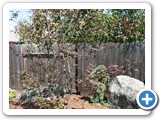 Merced, CA - 2010