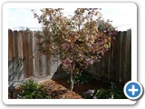 Merced, CA - 2010