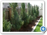 Merced, CA - 2010