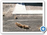 Before - Atwater, CA - 2011