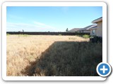 Before - Atwater, CA - 2012