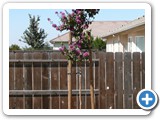 Construction - Atwater, CA - 2012