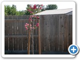 Construction - Atwater, CA - 2012