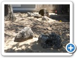 Construction - Atwater, CA - 2015