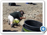 Construction - Atwater, CA - 2016